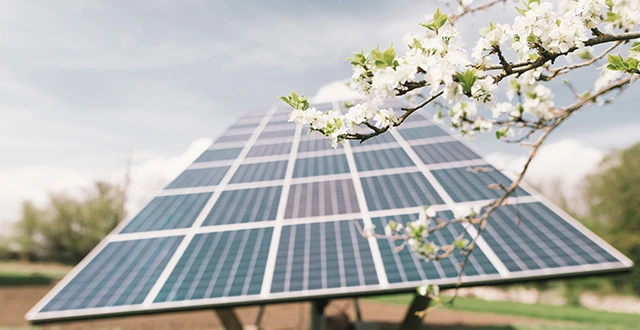 découvrez tout ce qu'il faut savoir sur le crédit pour panneaux photovoltaïques : avantages financiers, démarches à suivre et comment réduire vos factures d'énergie tout en investissant dans une source d'énergie durable.