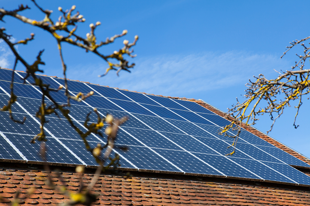 découvrez notre sélection des meilleurs panneaux solaires pour maximiser votre production d'énergie renouvelable. comparez les performances, les prix et les caractéristiques des panneaux pour faire un choix éclairé et investir dans un avenir durable.