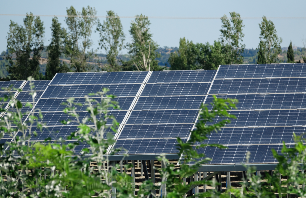 découvrez comment edf contribue à l'énergie durable grâce à ses solutions de panneaux solaires. optez pour une énergie renouvelable et respectueuse de l'environnement, tout en réalisant des économies sur vos factures d'électricité.