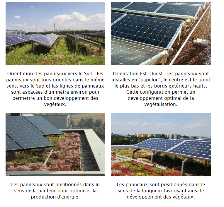 découvrez comment optimiser vos panneaux solaires pour maximiser leur efficacité et leur rendement. suivez nos conseils pratiques pour améliorer votre installation solaire et réduire vos factures d'énergie tout en préservant l'environnement.