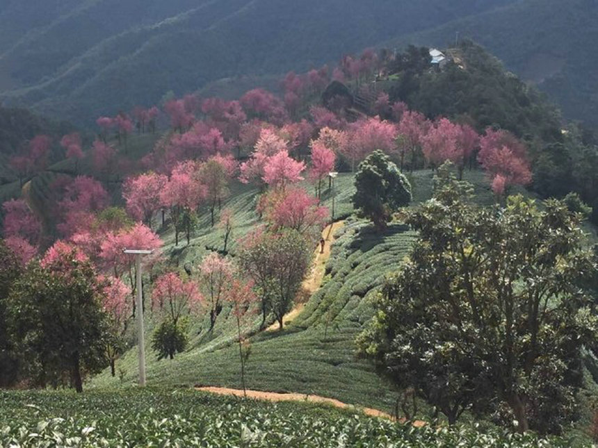 découvrez des paysages enchanteurs qui éveillent les sens et transportent l'esprit. explorez des panoramas à couper le souffle, des forêts luxuriantes aux plages idylliques, et laissez-vous séduire par la magie de la nature.