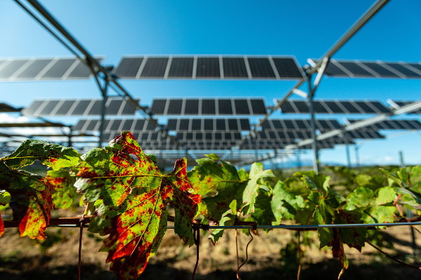 découvrez les avantages de l'agriculture photovoltaïque, une solution innovante alliant production agricole et énergies renouvelables. apprenez comment cette technique permet de maximiser les rendements tout en respectant l'environnement.