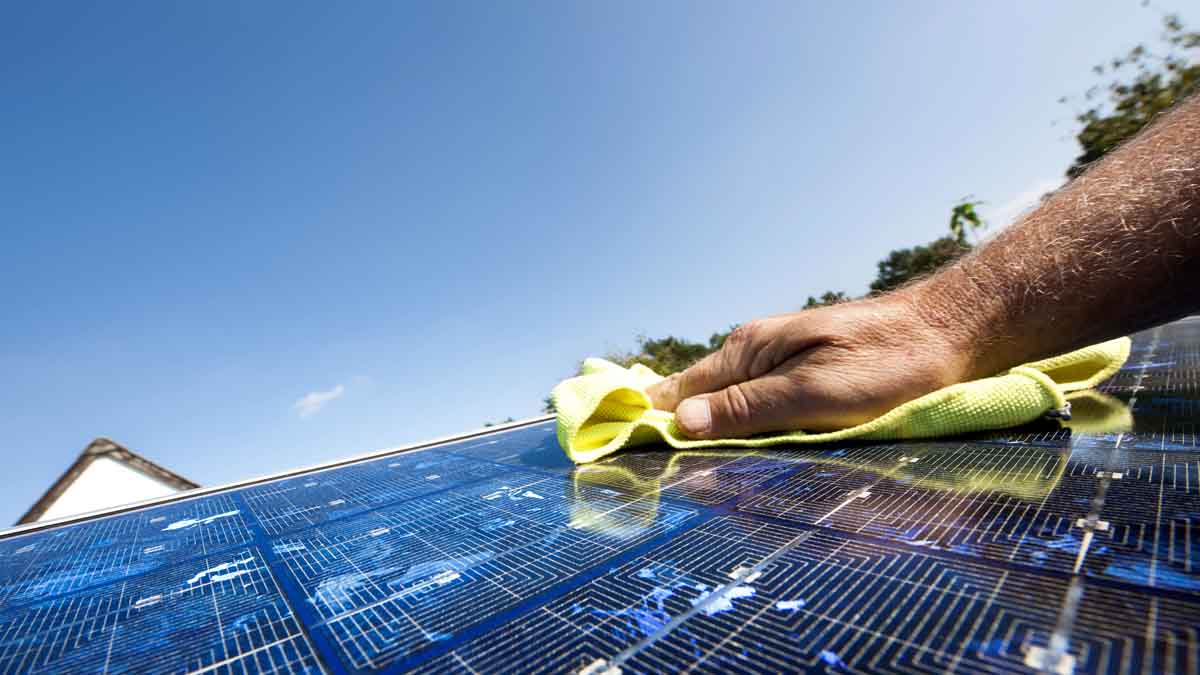 découvrez nos tarifs compétitifs pour le nettoyage de vos panneaux solaires. optimisez la performance de vos installations avec un service professionnel et de qualité, adapté à vos besoins. contactez-nous dès maintenant pour un devis personnalisé.