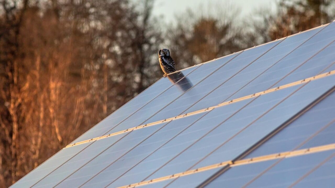 découvrez les avantages et inconvénients des panneaux solaires. informez-vous sur les bénéfices écologiques et économiques, ainsi que sur les défis liés à leur installation et leur maintenance. faites le choix éclairé pour votre transition énergétique.