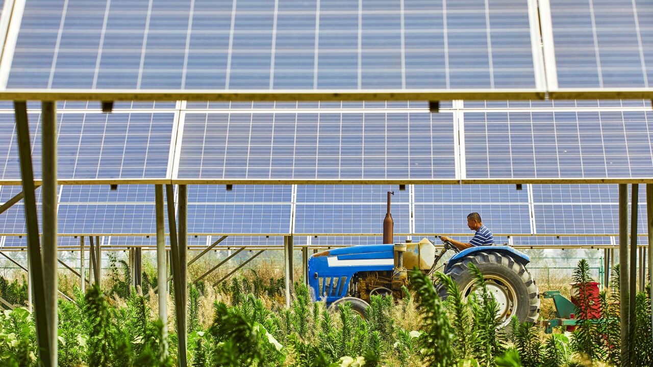 découvrez comment les panneaux solaires peuvent améliorer la rentabilité de votre exploitation agricole. maximisez vos revenus tout en contribuant à une agriculture durable grâce à l'énergie renouvelable.