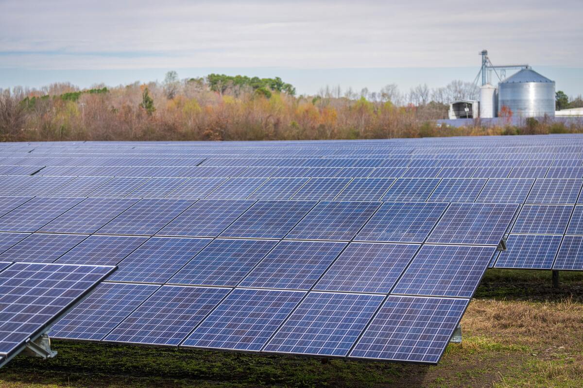 découvrez nos solutions d'achat de panneaux solaires de haute qualité. profitez de l'énergie renouvelable tout en réduisant vos factures d'électricité. investissez dans un avenir durable avec nos produits fiables et performants.