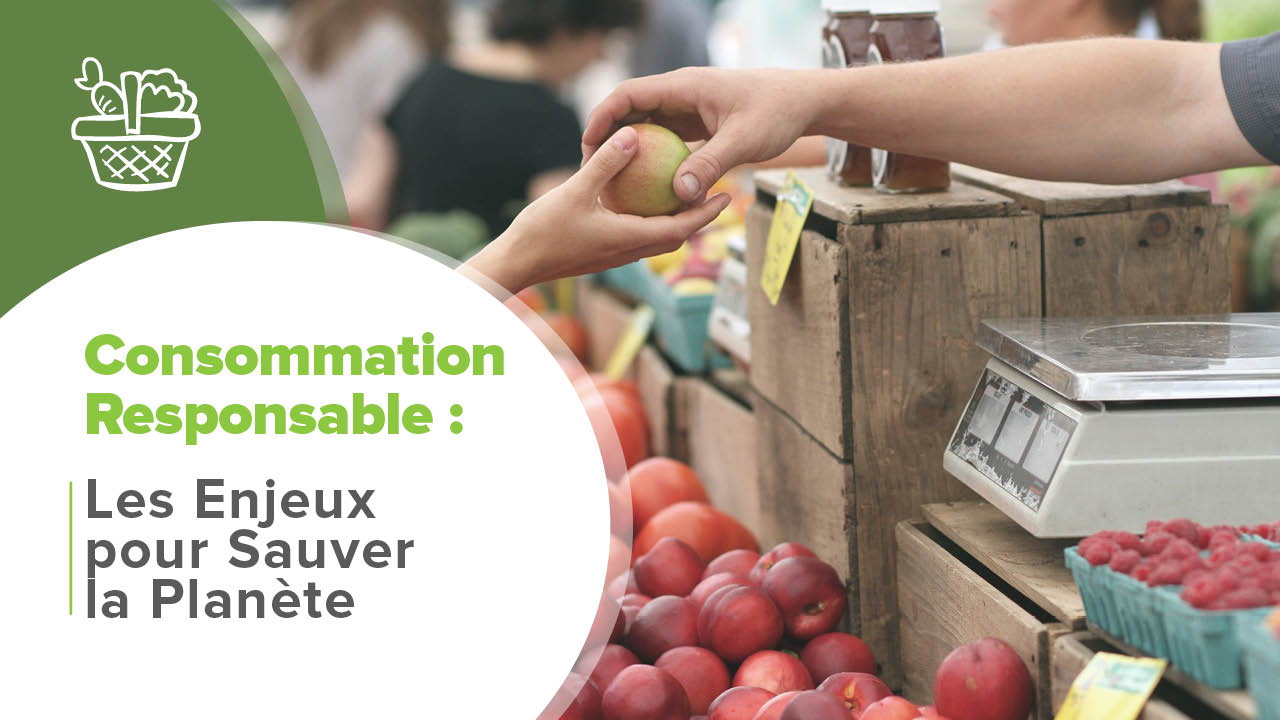 découvrez comment adopter l'auto-consommation éco-responsable pour réduire votre empreinte carbone, économiser sur vos factures d'énergie et contribuer à la protection de l'environnement grâce à des solutions durables adaptées à vos besoins.