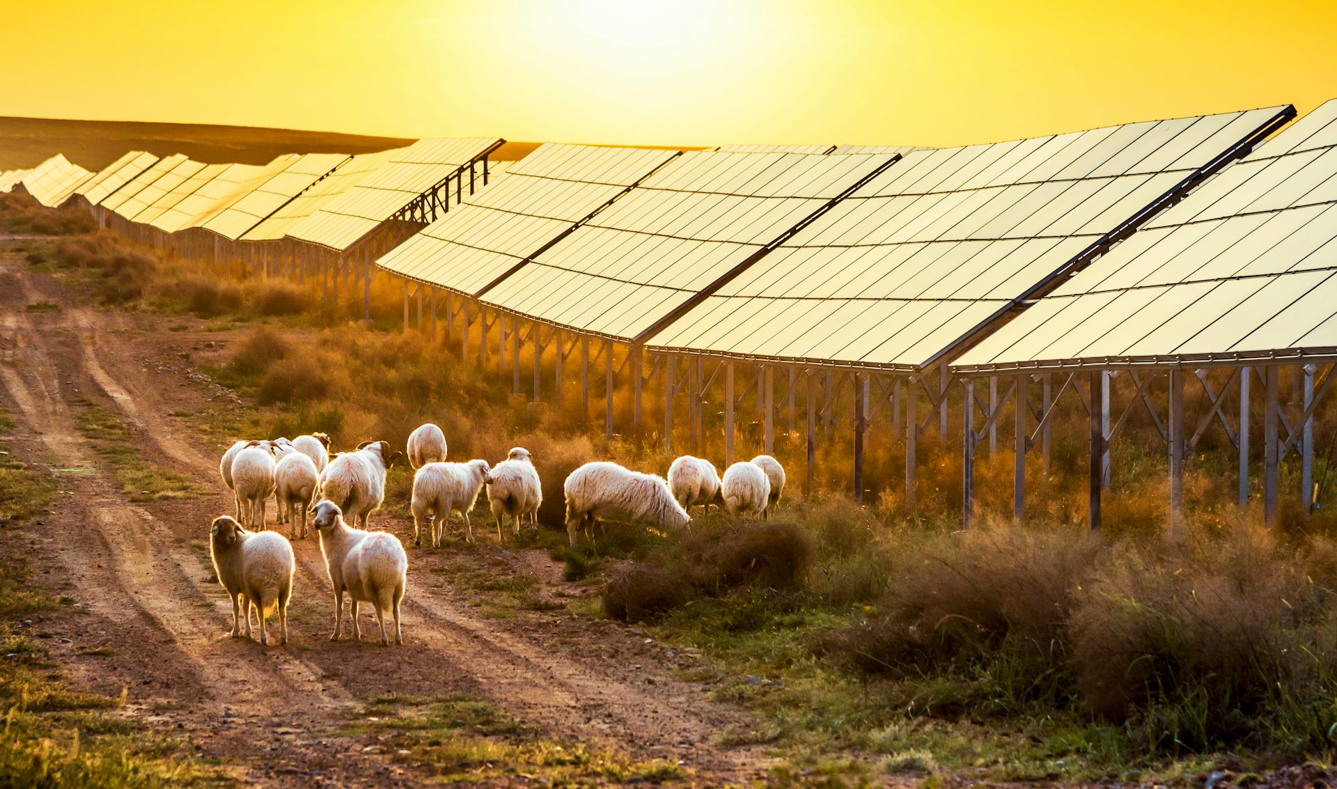 découvrez les avantages et inconvénients des panneaux solaires dans notre guide complet. informez-vous sur les bénéfices écologiques et économiques, ainsi que sur les défis techniques et financiers associés à l'installation de systèmes solaires. faites le point pour une transition énergétique réussie.