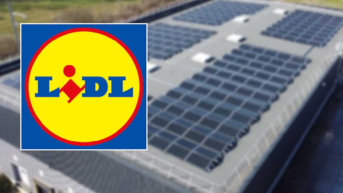 découvrez notre avis détaillé sur les panneaux solaires lidl : performance, rapport qualité-prix et avis des utilisateurs. informez-vous avant d'investir dans l'énergie solaire avec lidl.