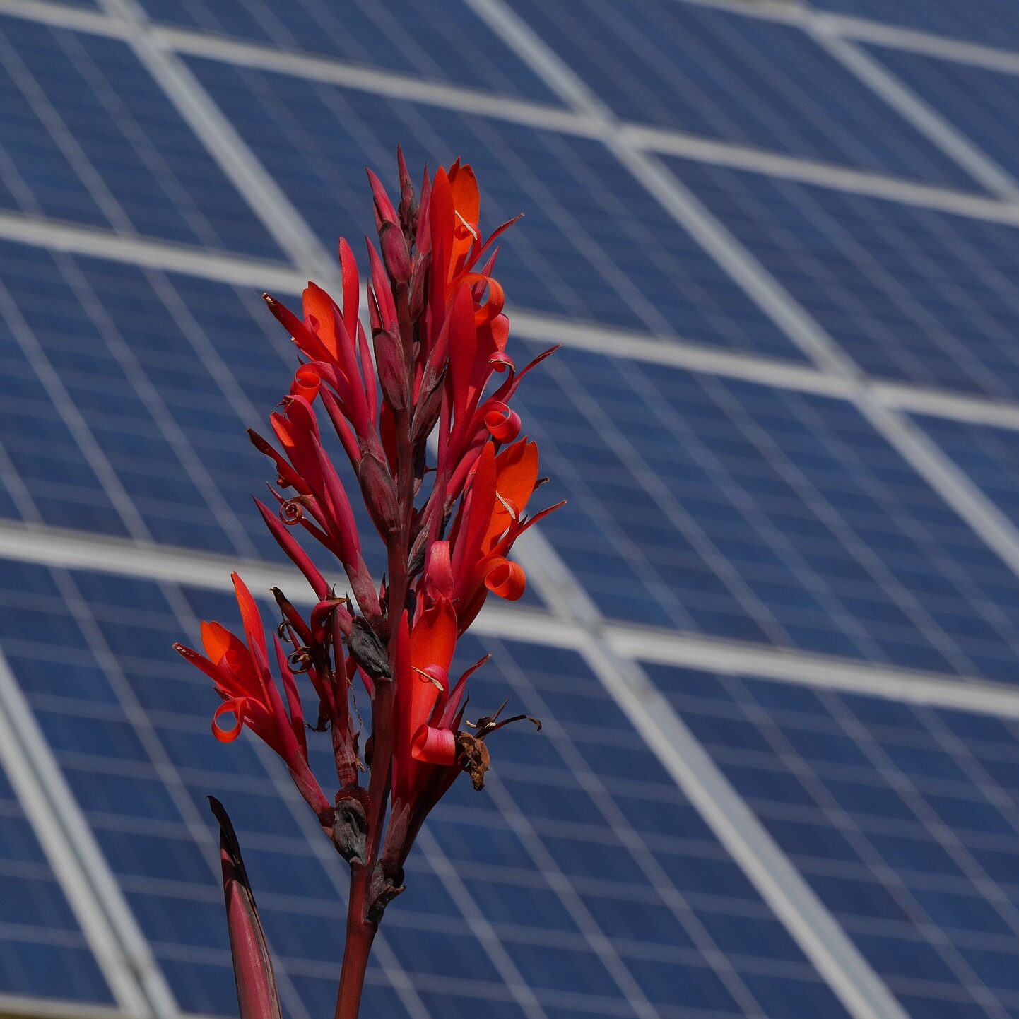 découvrez notre solution innovante de borne de recharge solaire, qui allie écologie et praticité. rechargez vos véhicules électriques grâce à une énergie propre et renouvelable, tout en contribuant à la préservation de l'environnement. idéale pour les particuliers et les entreprises, notre borne de recharge solaire offre une solution durable et accessible.