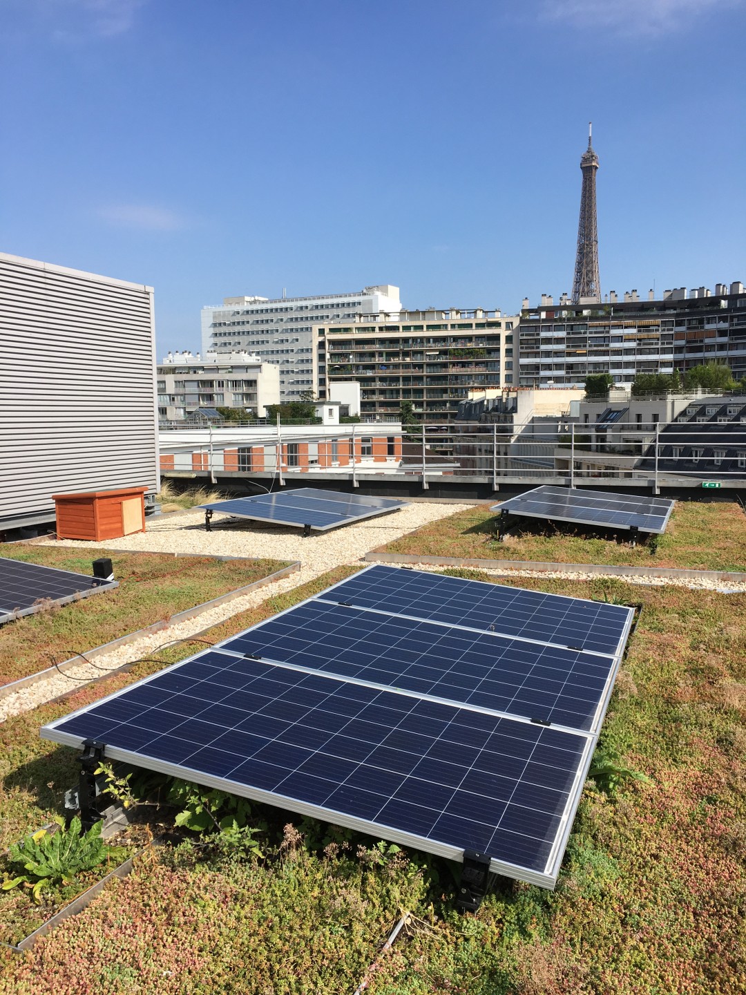 découvrez les dimensions idéales des panneaux solaires pour votre toiture afin d'optimiser la production d'énergie solaire. apprenez à choisir la taille et le type de panneaux adaptés à votre espace, tout en garantissant une installation efficace et esthétique.