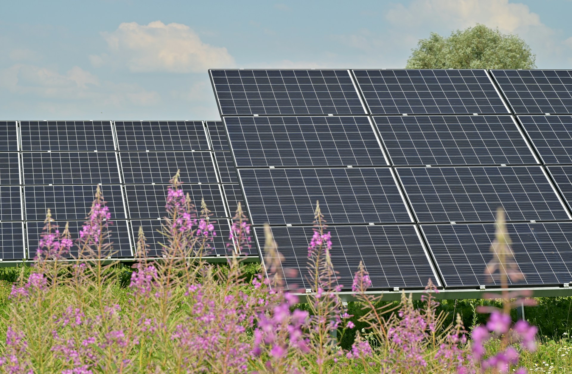 découvrez comment un investissement photovoltaïque rentable peut transformer votre consommation d'énergie et optimiser vos économies. explorez les avantages financiers et environnementaux d'adopter l'énergie solaire dès aujourd'hui.