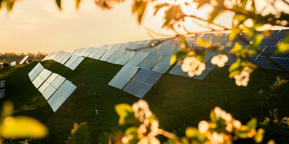 découvrez les avantages des panneaux solaires au sol et apprenez comment les installer efficacement. optimisez votre production d'énergie renouvelable et valorisez votre espace extérieur avec cette solution durable et économique.