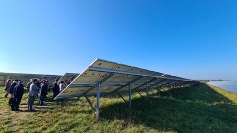 découvrez comment investir dans l'énergie solaire en bretagne avec nos panneaux solaires. un choix durable pour l'environnement et votre portefeuille. profitez d'une autonomie énergétique tout en réduisant vos factures grâce à des solutions écologiques adaptées à la région.