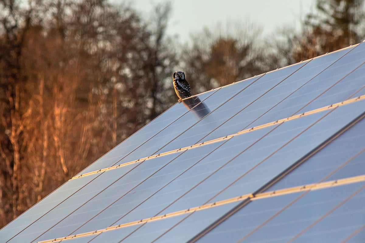 découvrez comment choisir des panneaux photovoltaïques optimaux pour maximiser votre production d'énergie solaire. profitez d'une solution durable et économique pour réduire vos factures d'électricité tout en contribuant à la préservation de l'environnement.