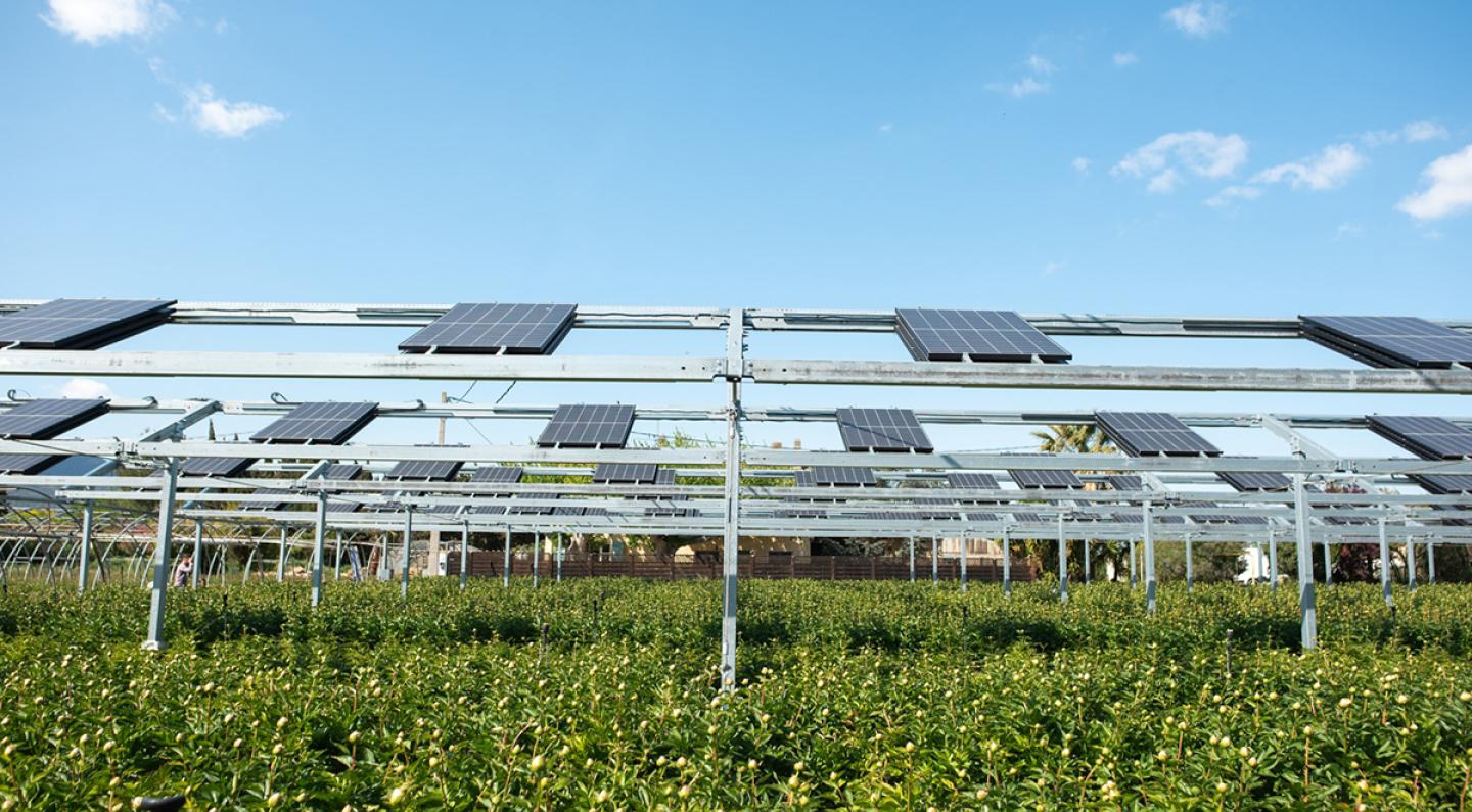 découvrez comment les panneaux solaires peuvent transformer l'agriculture en offrant une rentabilité accrue. explorez les avantages économiques, les aides disponibles et les témoignages d'agriculteurs qui ont déjà franchi le pas vers l'énergie solaire.