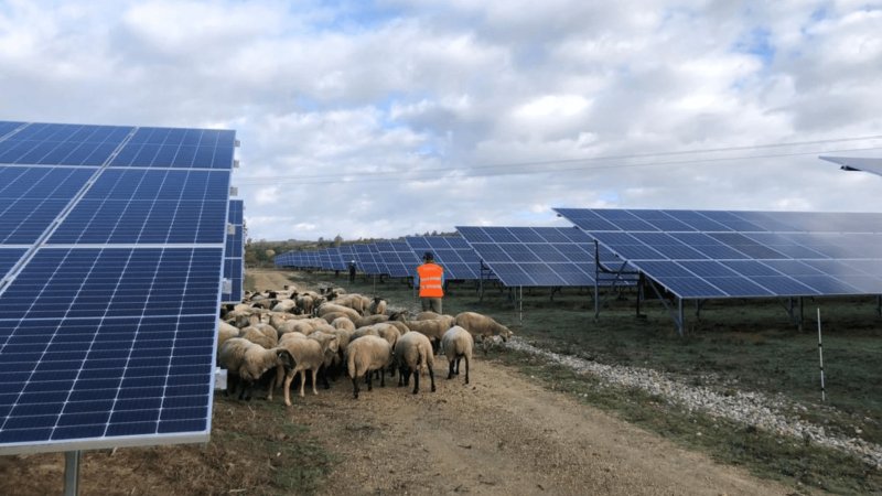 découvrez comment les panneaux solaires façonnent l'avenir de l'énergie durable. explorez leurs avantages, leur fonctionnement et leur impact positif sur l'environnement pour un monde plus vert.