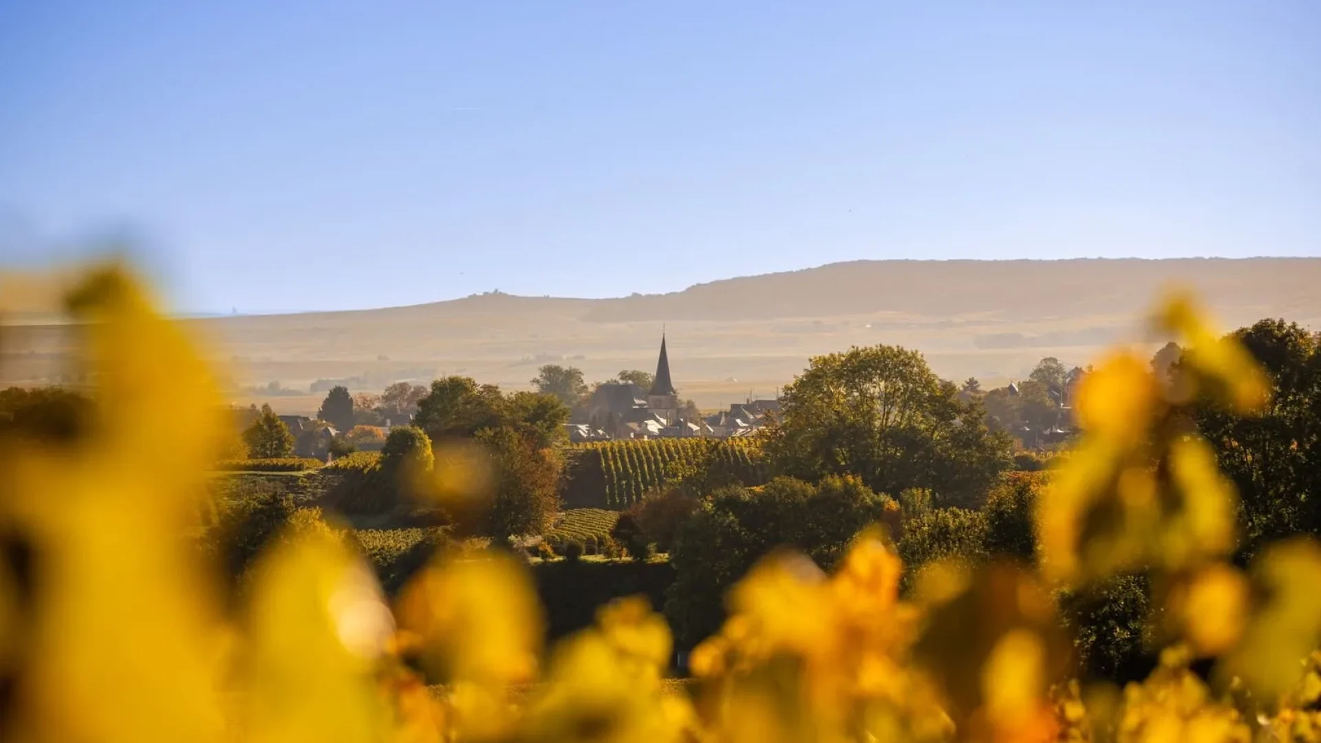 découvrez des paysages enchanteurs qui émerveillent les sens et transportent vers des destinations de rêve. explorez la beauté naturelle à travers des panoramas à couper le souffle et des lieux magiques qui captivent l'âme.