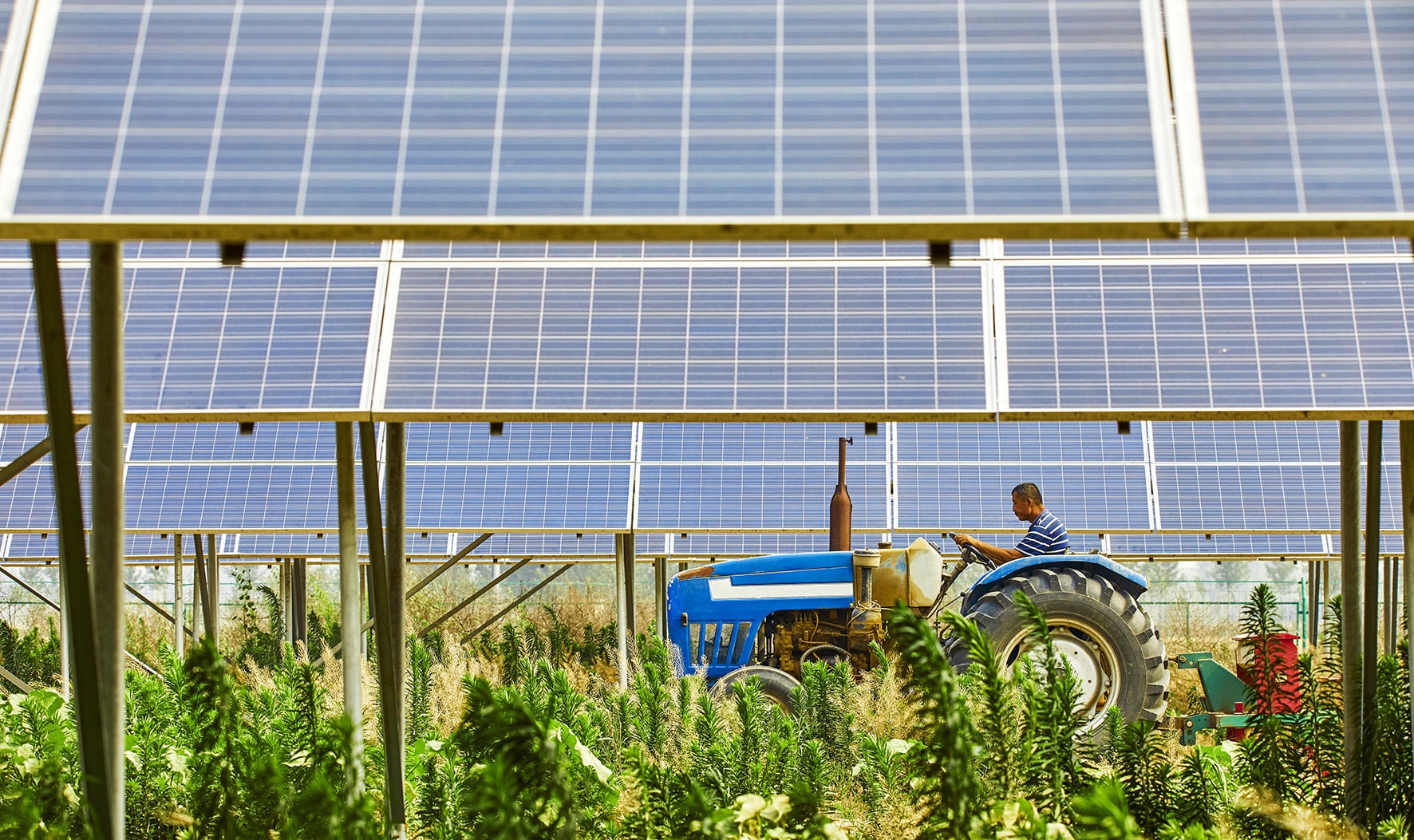 découvrez comment le photovoltaïque agricole transforme les exploitations en alliant durabilité et rentabilité. optimisez votre production tout en préservant l'environnement grâce à des solutions solaires adaptées.