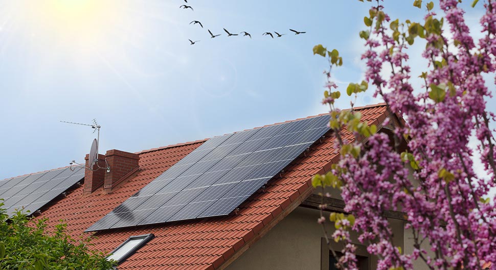 découvrez tout ce qu'il faut savoir sur le poids des panneaux solaires, un facteur essentiel à considérer lors de l'installation de votre système photovoltaïque. informez-vous sur les différents types de panneaux, leur poids respectif et comment cela peut influencer votre choix d'équipement.