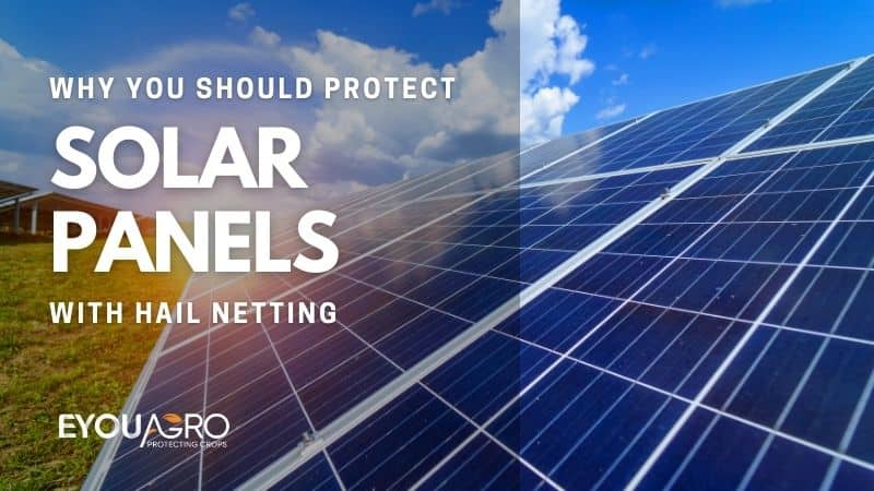 découvrez comment protéger vos panneaux solaires contre les intempéries, la poussière et les débris. apprenez les meilleures pratiques et solutions pour garantir une durée de vie optimale et un rendement maximal de votre installation solaire.