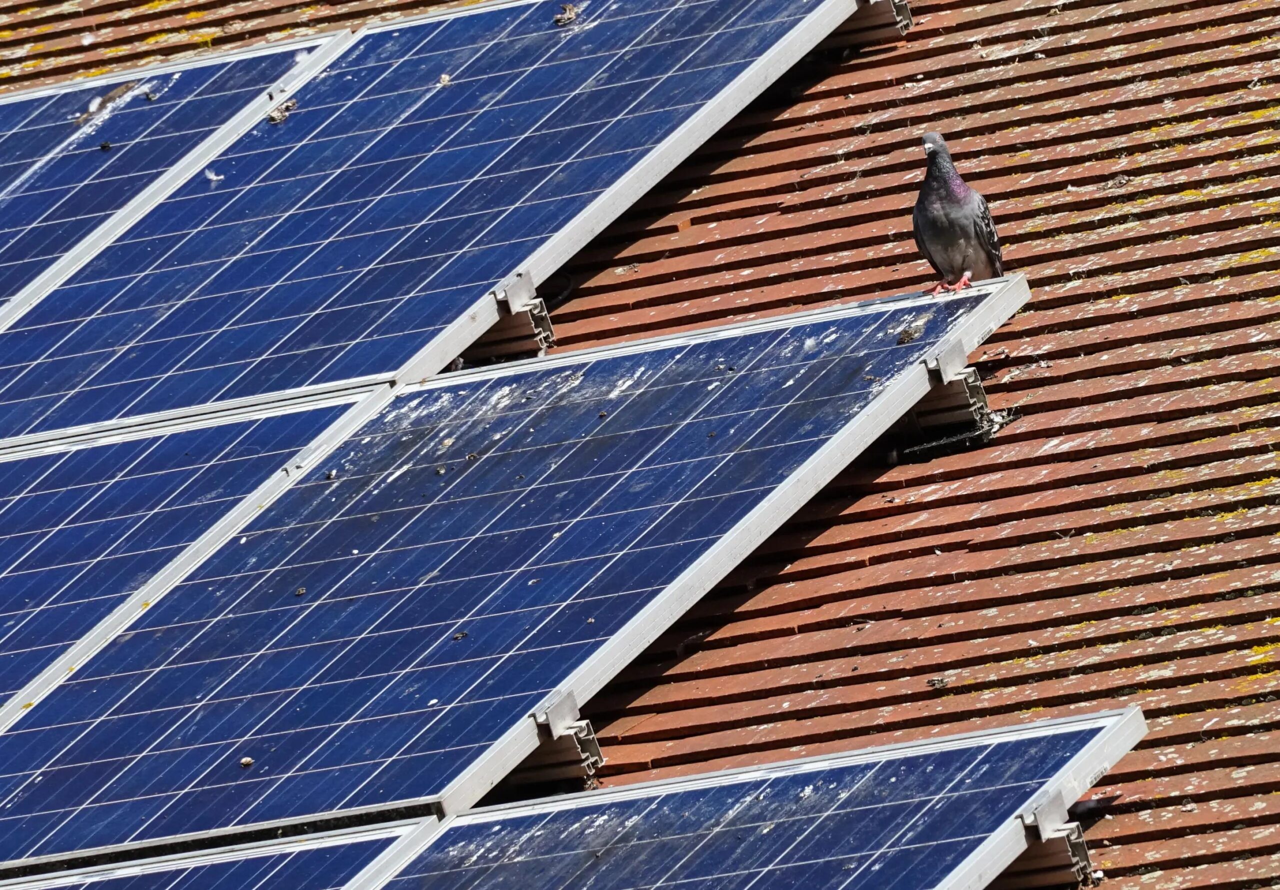 découvrez des conseils essentiels pour protéger vos panneaux solaires des intempéries et des débris. optimisez leur performance et prolongez leur durée de vie grâce à nos astuces pratiques.