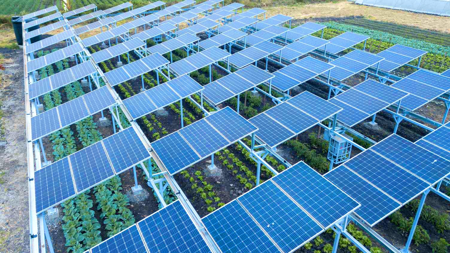 découvrez comment le photovoltaïque agricole contribue à la transition énergétique en optimisant les terres agricoles, réduisant les émissions de carbone et soutenant les agriculteurs vers un avenir durable. explorez les avantages, les innovations et les solutions pour une agriculture plus verte.