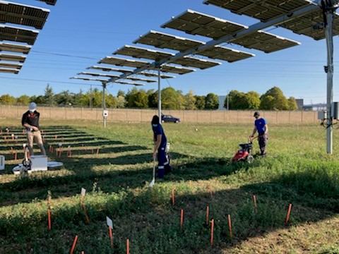 découvrez comment les panneaux photovoltaïques agricoles peuvent jouer un rôle clé dans la transition énergétique, en alliant production d'énergie renouvelable et durabilité des exploitations agricoles.