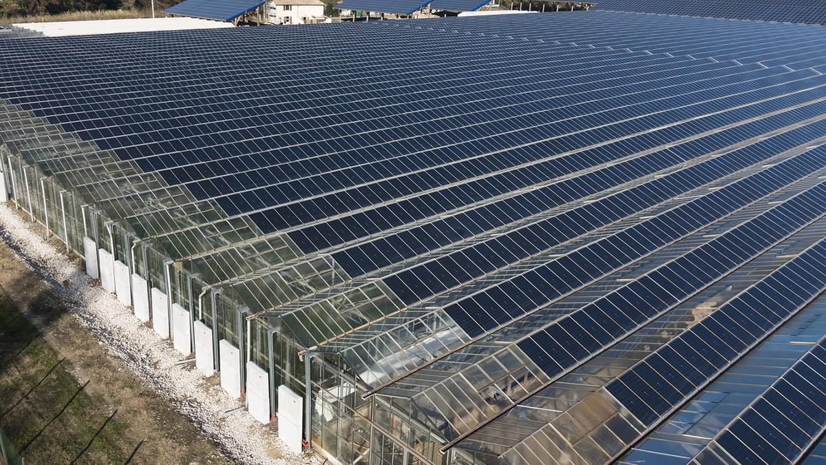 découvrez comment la serre photovoltaïque combine agriculture et énergies renouvelables pour une production durable. optimisez la culture de vos plantes tout en réduisant votre empreinte carbone grâce à cette innovation écologique.