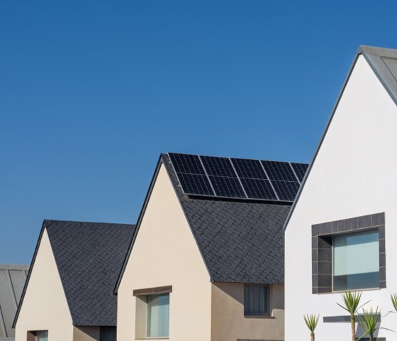 découvrez comment une serre photovoltaïque peut transformer votre jardin en un espace productif et éco-responsable. apprenez les avantages de cultiver des plantes tout en générant votre propre énergie solaire, et trouvez des conseils pratiques pour mettre en place votre propre serre adaptée à vos besoins.