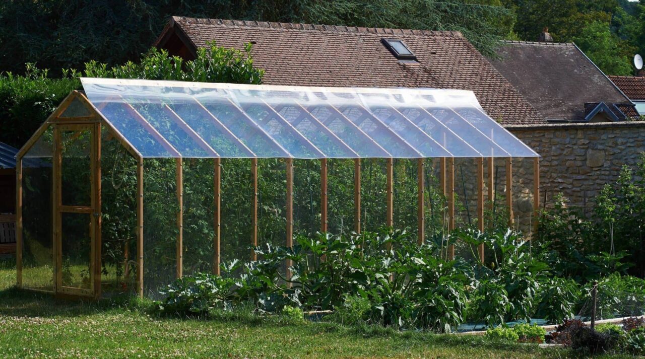 découvrez comment une serre solaire peut transformer votre jardin en un espace florissant tout au long de l'année. optimisez la croissance de vos plantes tout en prenant soin de l'environnement grâce à cette solution durable et esthétique.