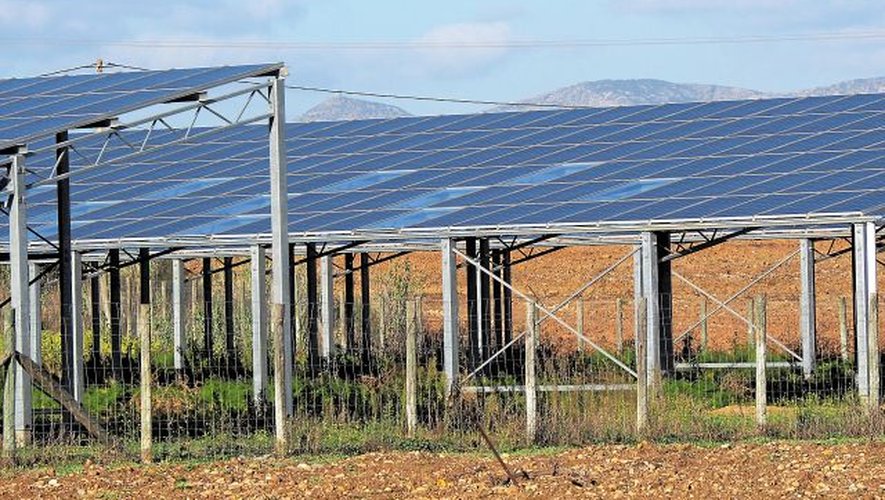 découvrez les avantages des serres photovoltaïques, alliant agriculture durable et production d'énergie renouvelable. optimisez votre culture tout en réduisant votre empreinte carbone grâce à cette solution innovante.